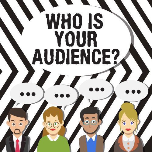 audience insights