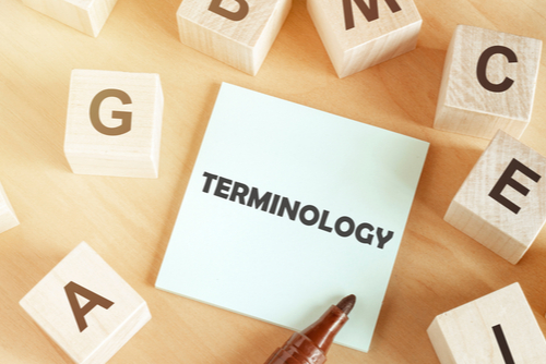 terminology